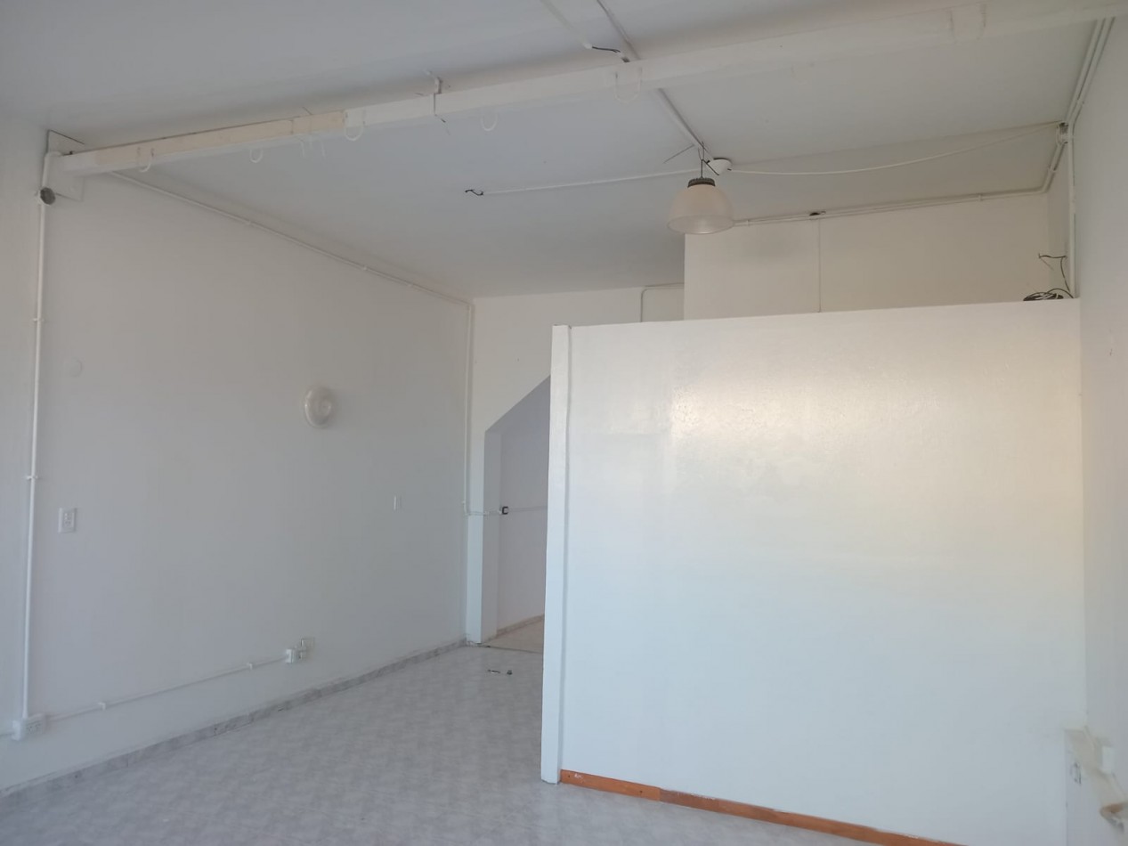 LOCAL COMERCIAL PUEYRREDON 